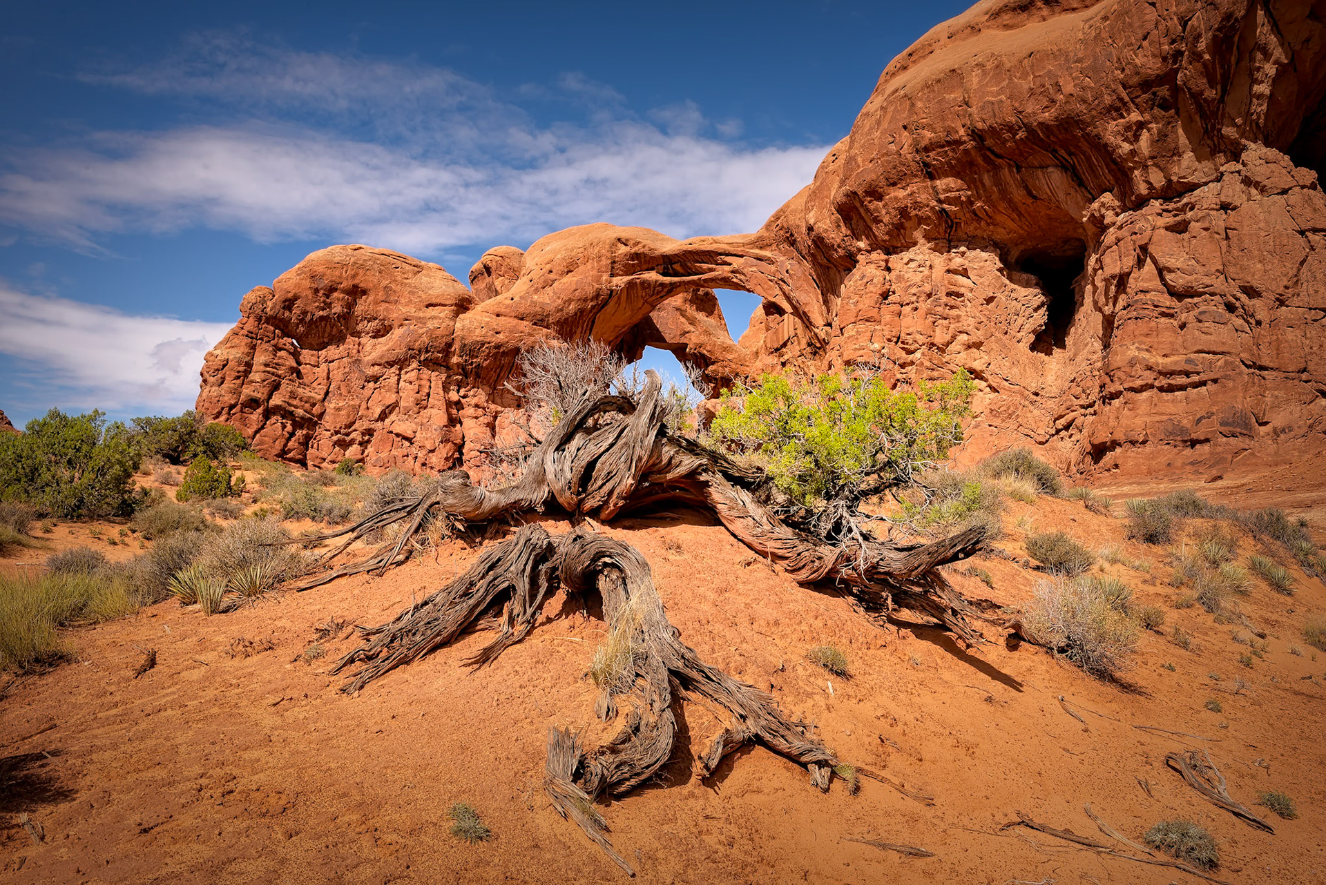 Double Arch