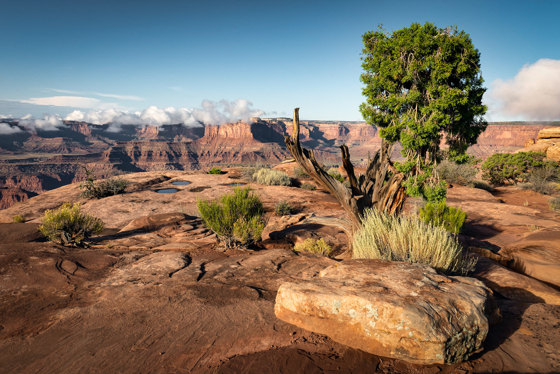 Dead Horse Point