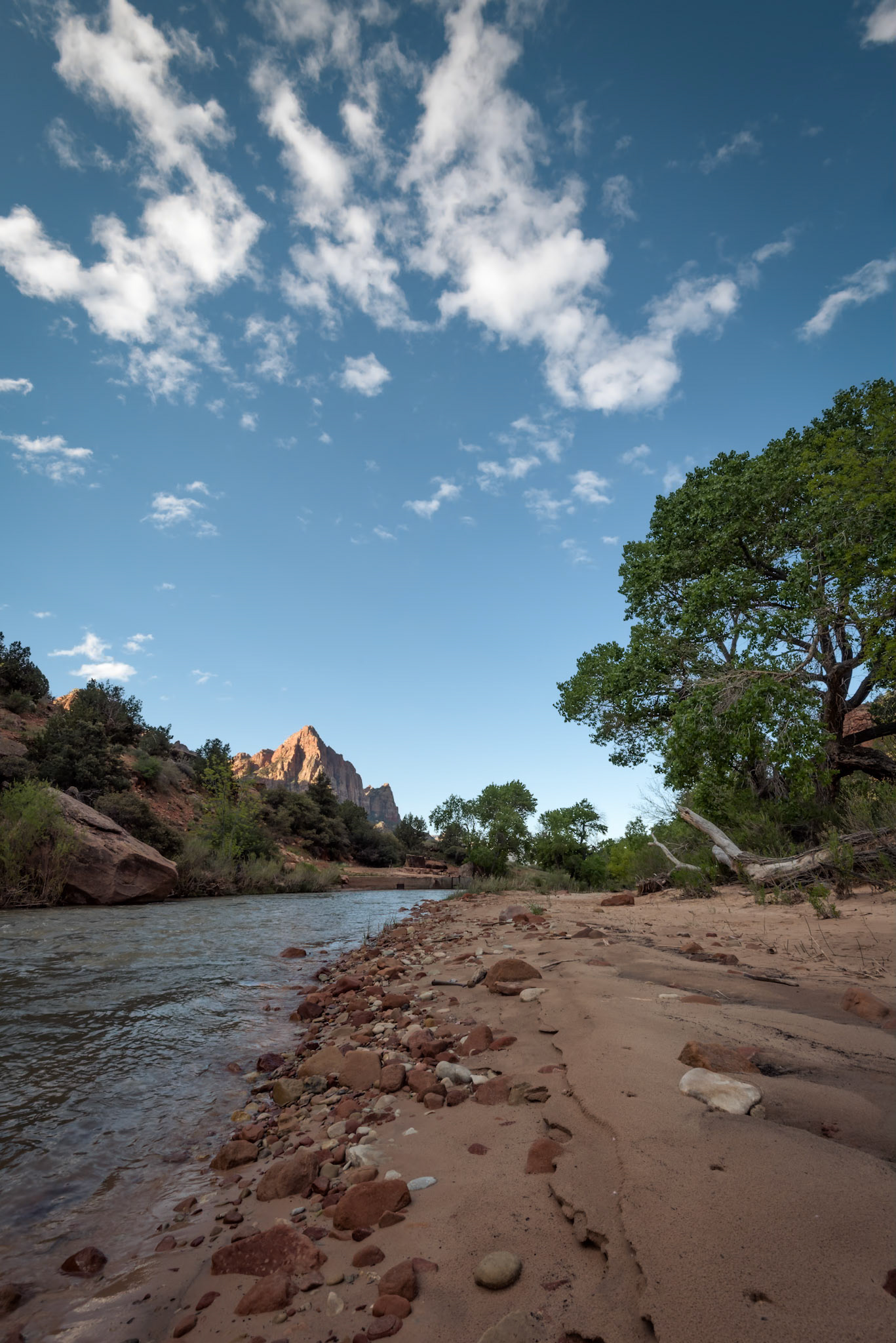 Virgin River with the Watchman in background