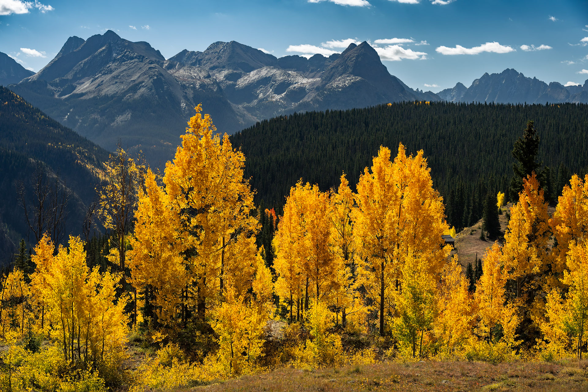 Glowing Aspens and Rocky Peaks