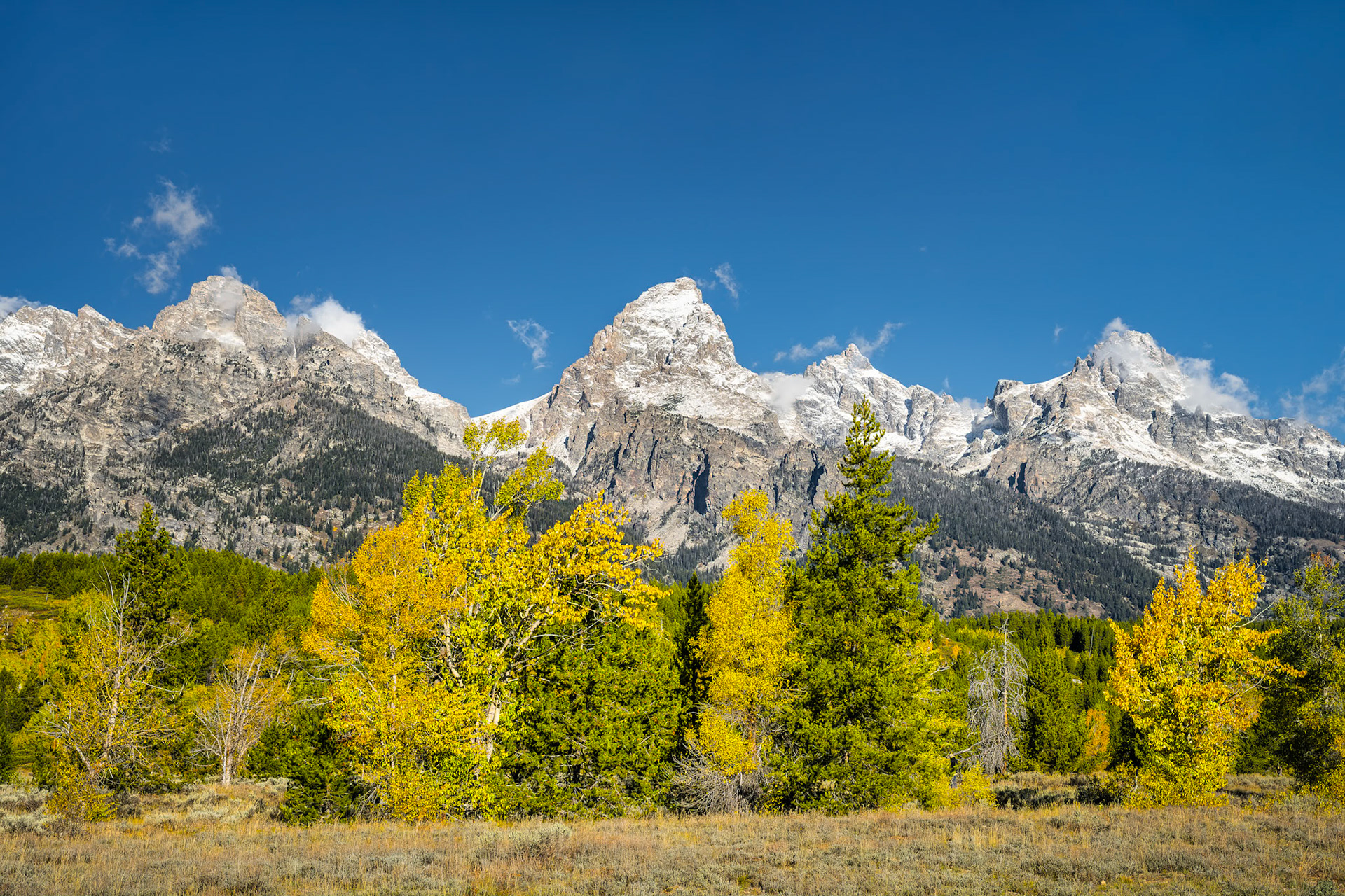 Fall color Grand Tetons