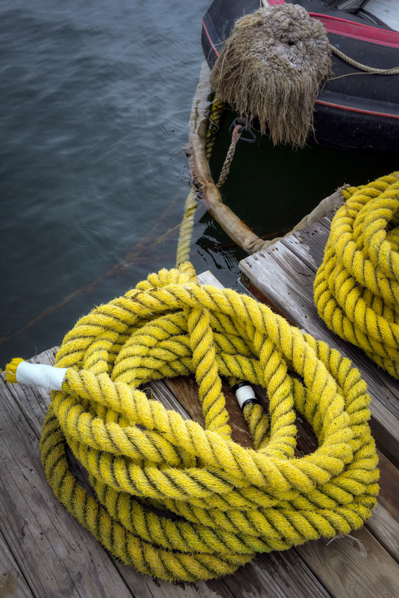 Camden Harbor Dock Life