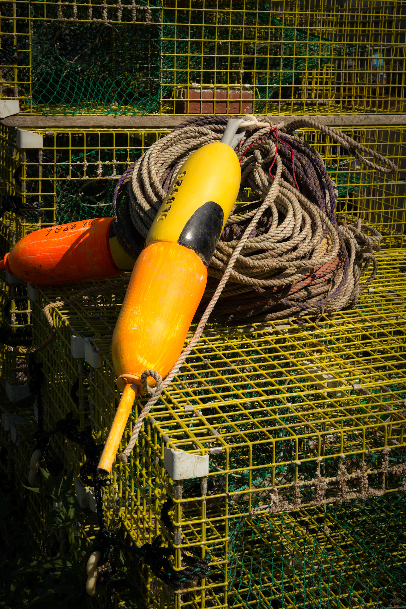 Lobster Traps Vinalhaven
