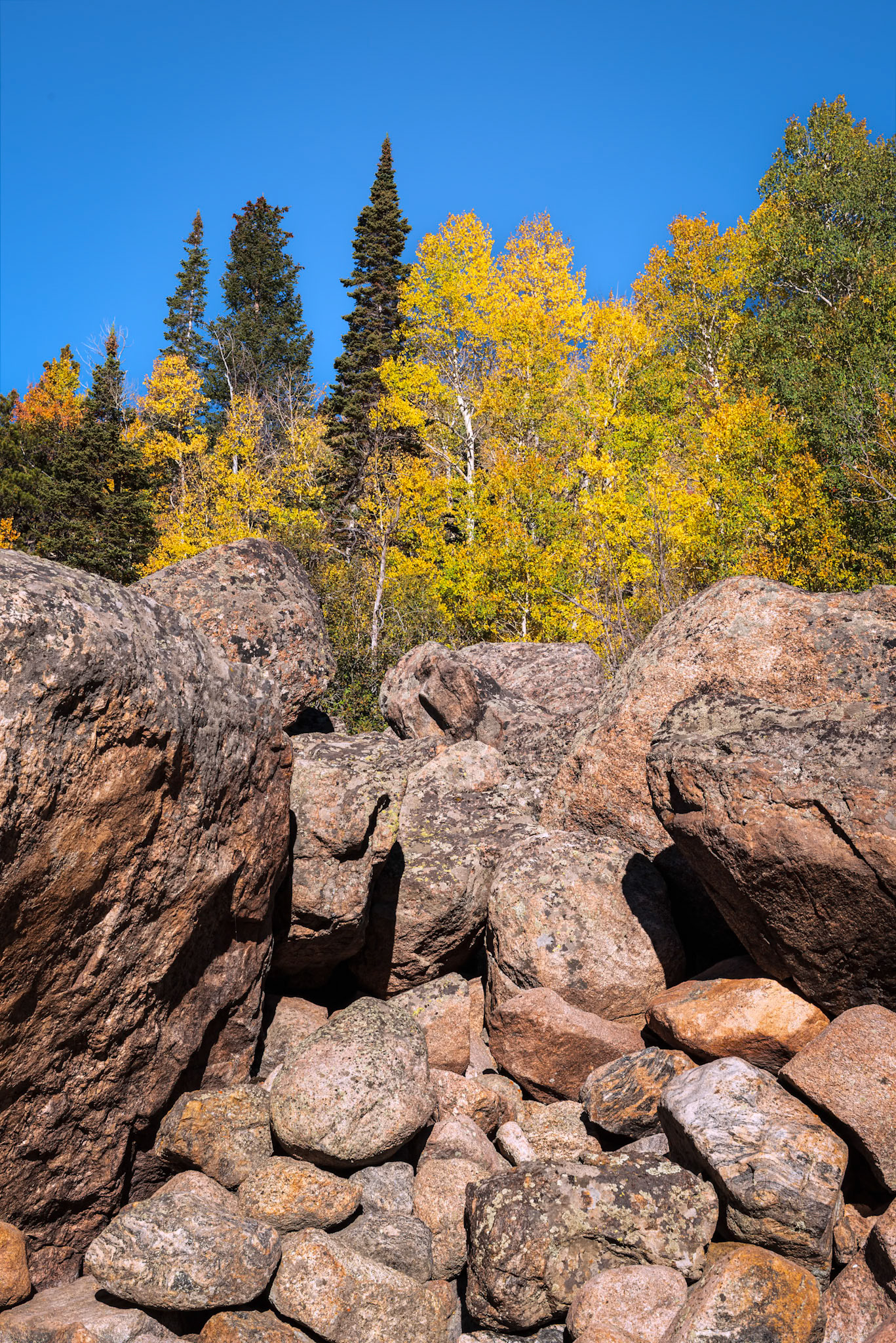 RMNP Fall Color