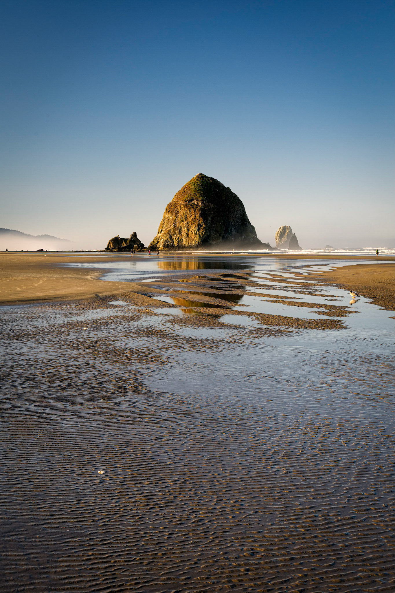 Haystack Rock Cannon Beach