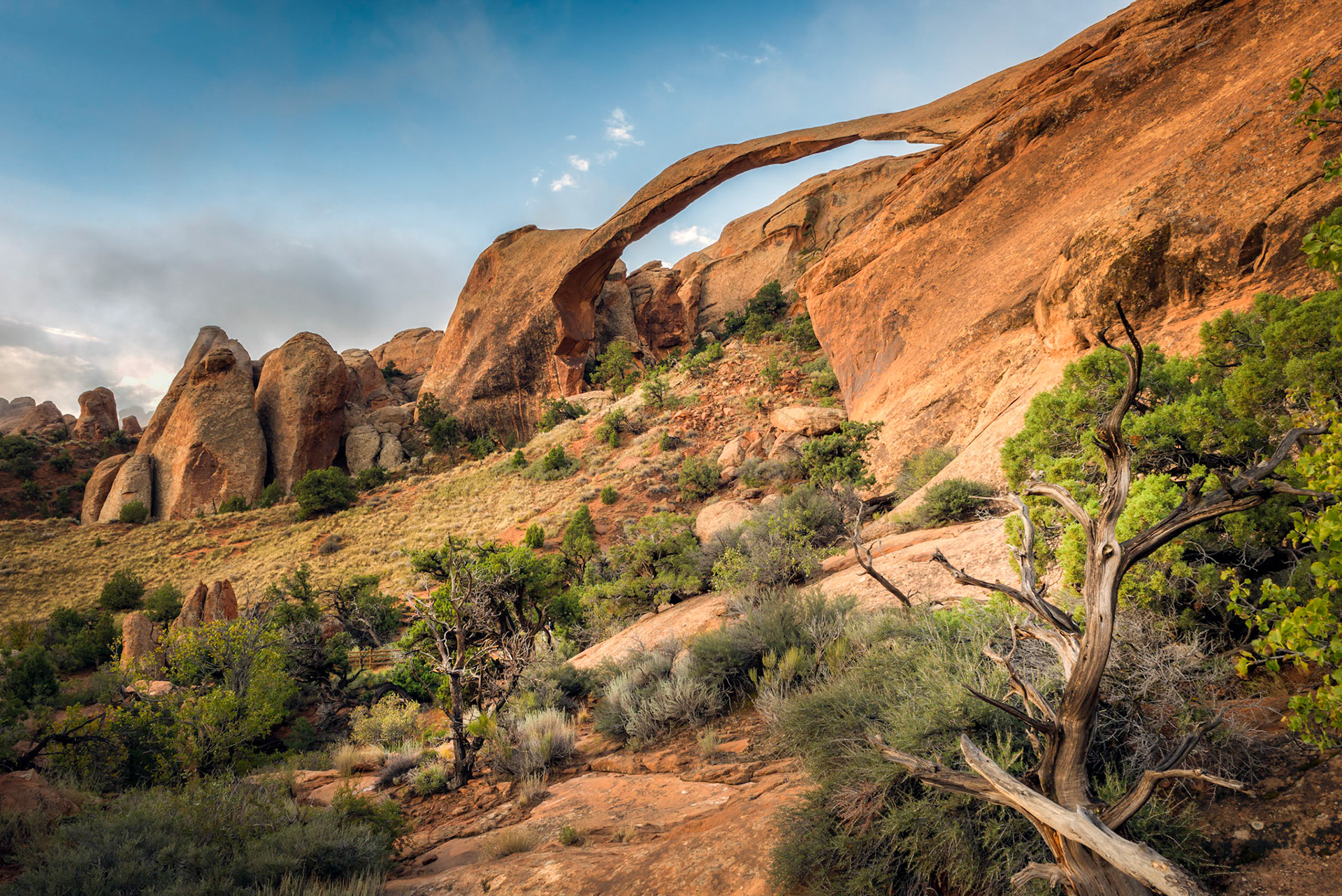 Morning Fog over Landscape Arch