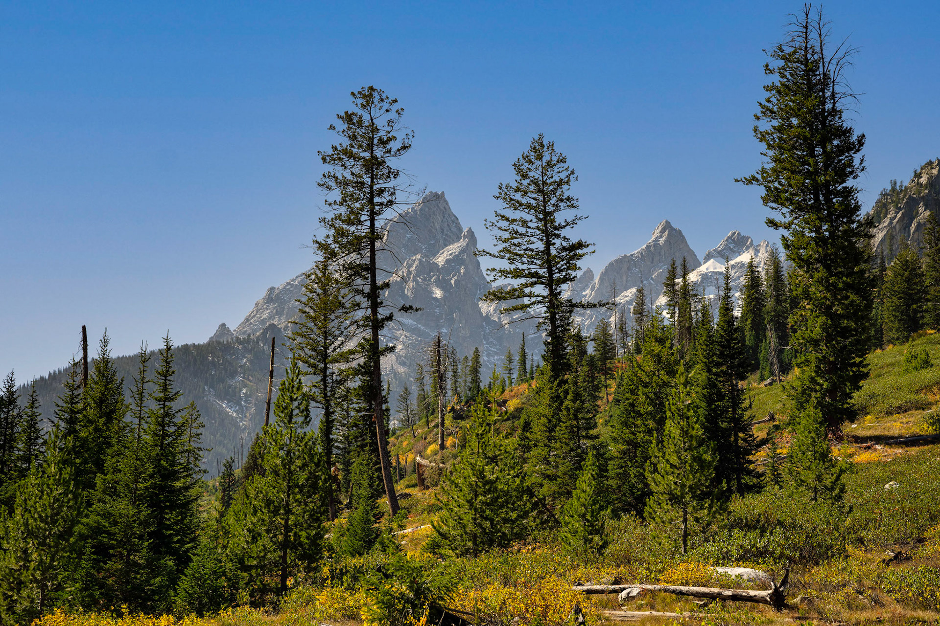 Hiking through Grand Teton NP