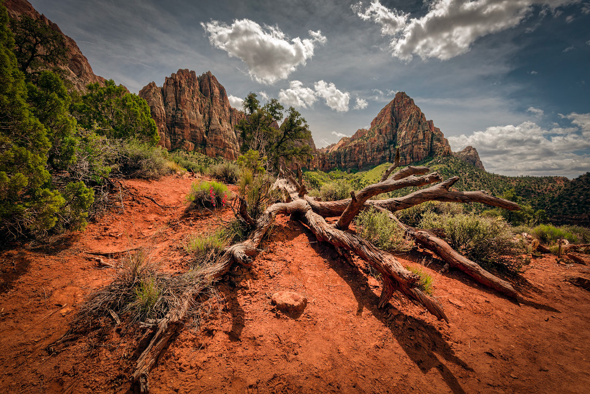 Majestic Zion