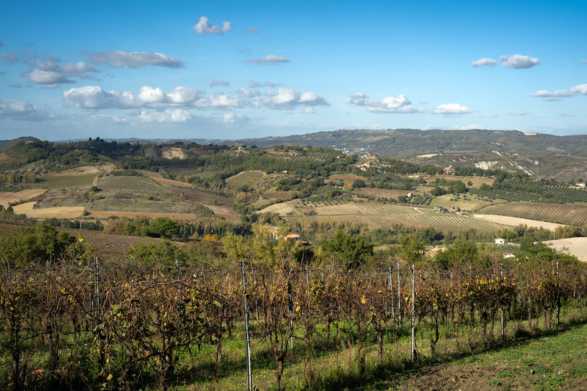 Wine Resort in Tuscany