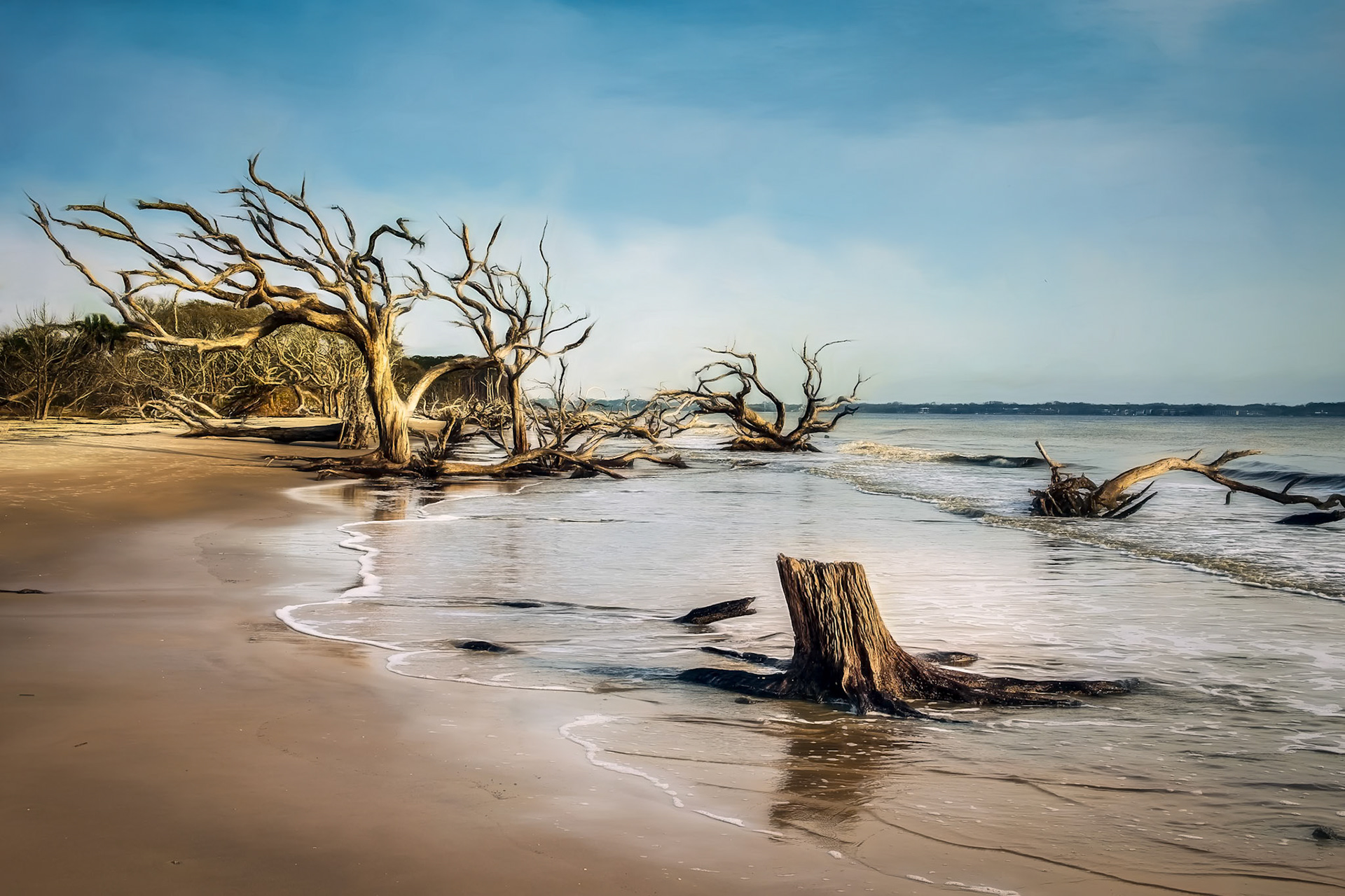 Driftwood Beach