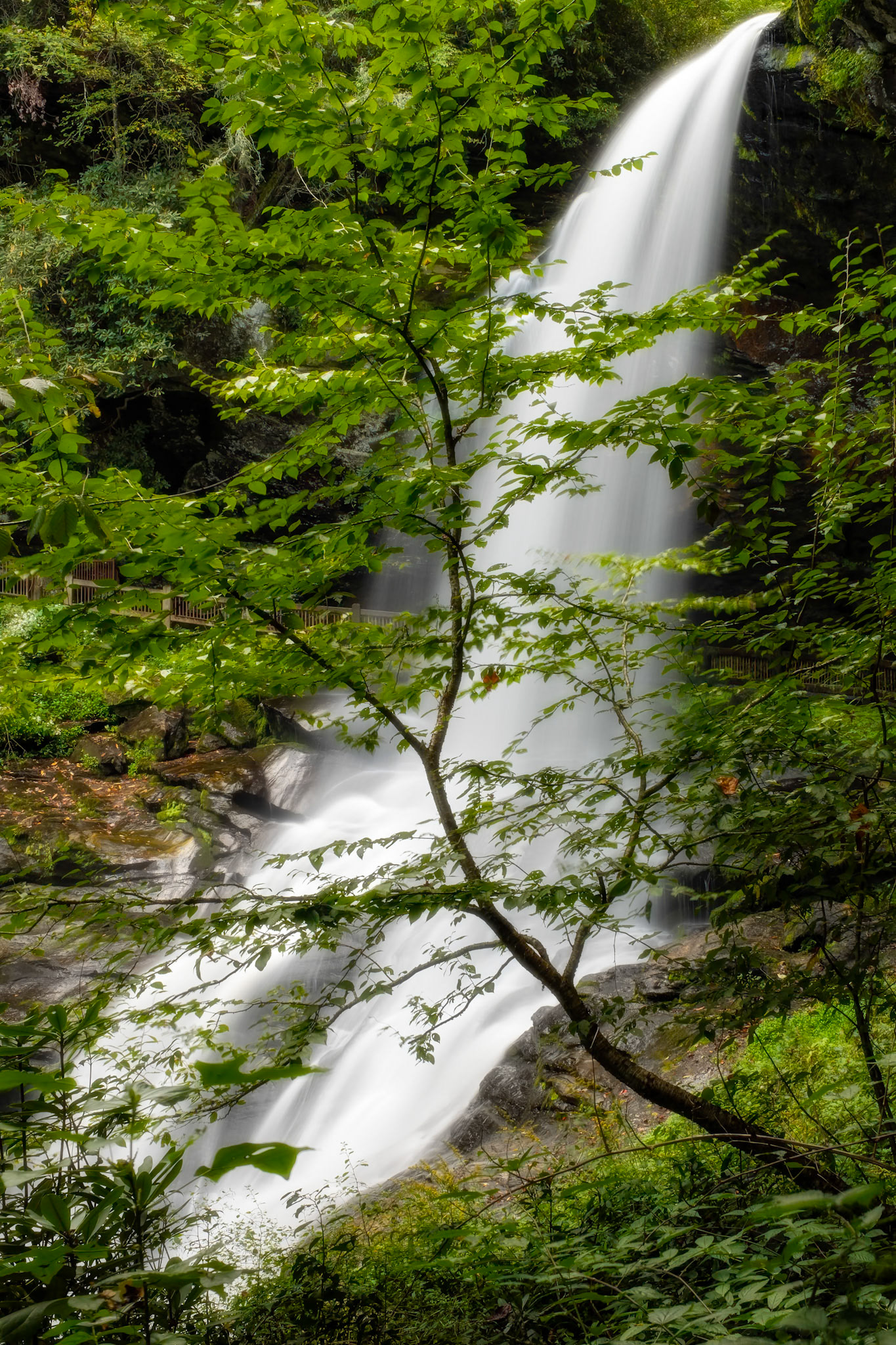 Dry Falls