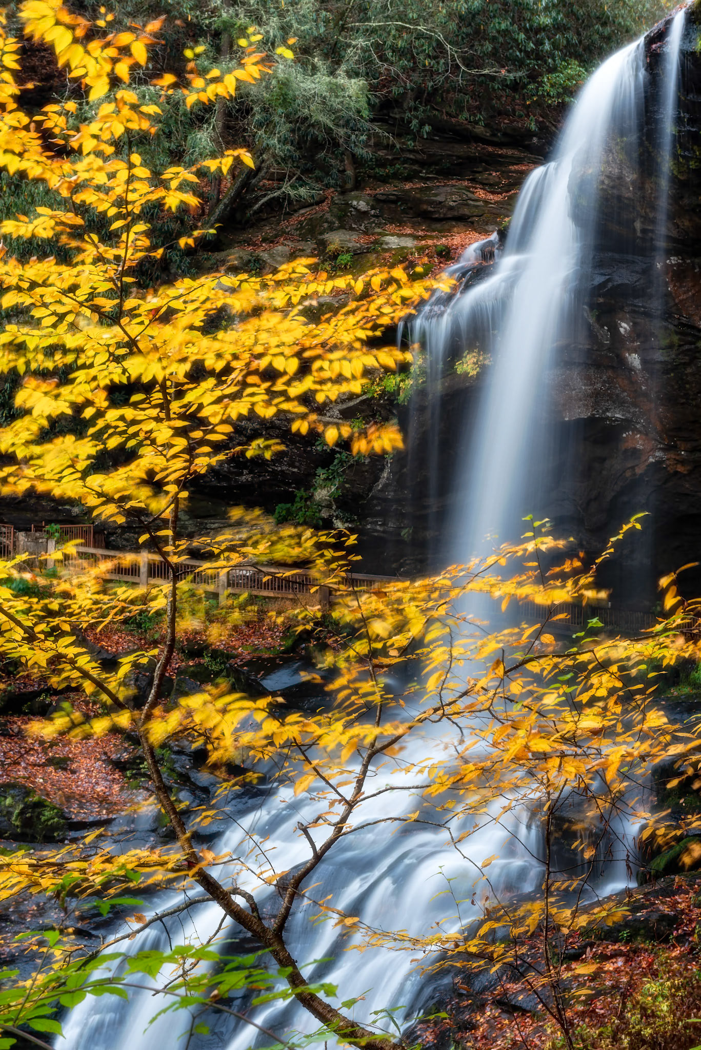 Dry Falls