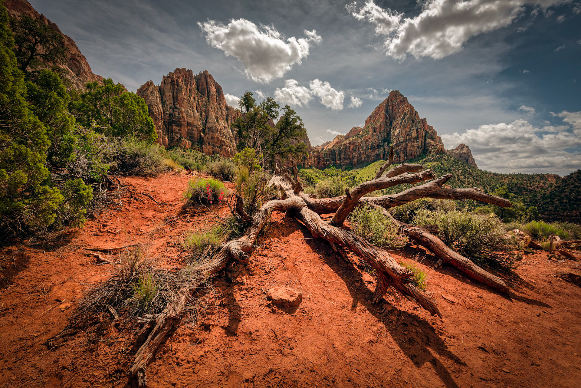 Majestic Zion