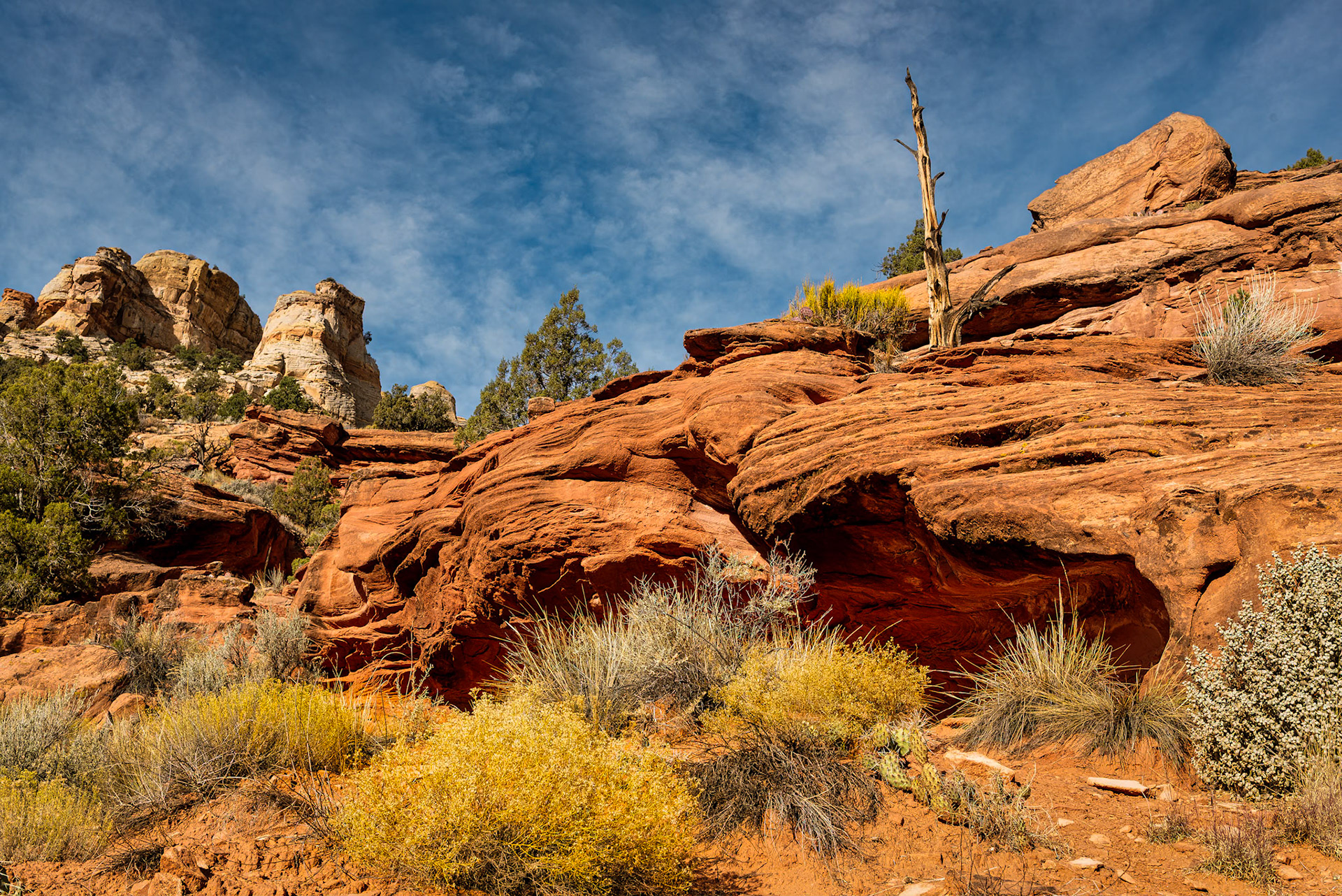 Grand Staircase-Escalante