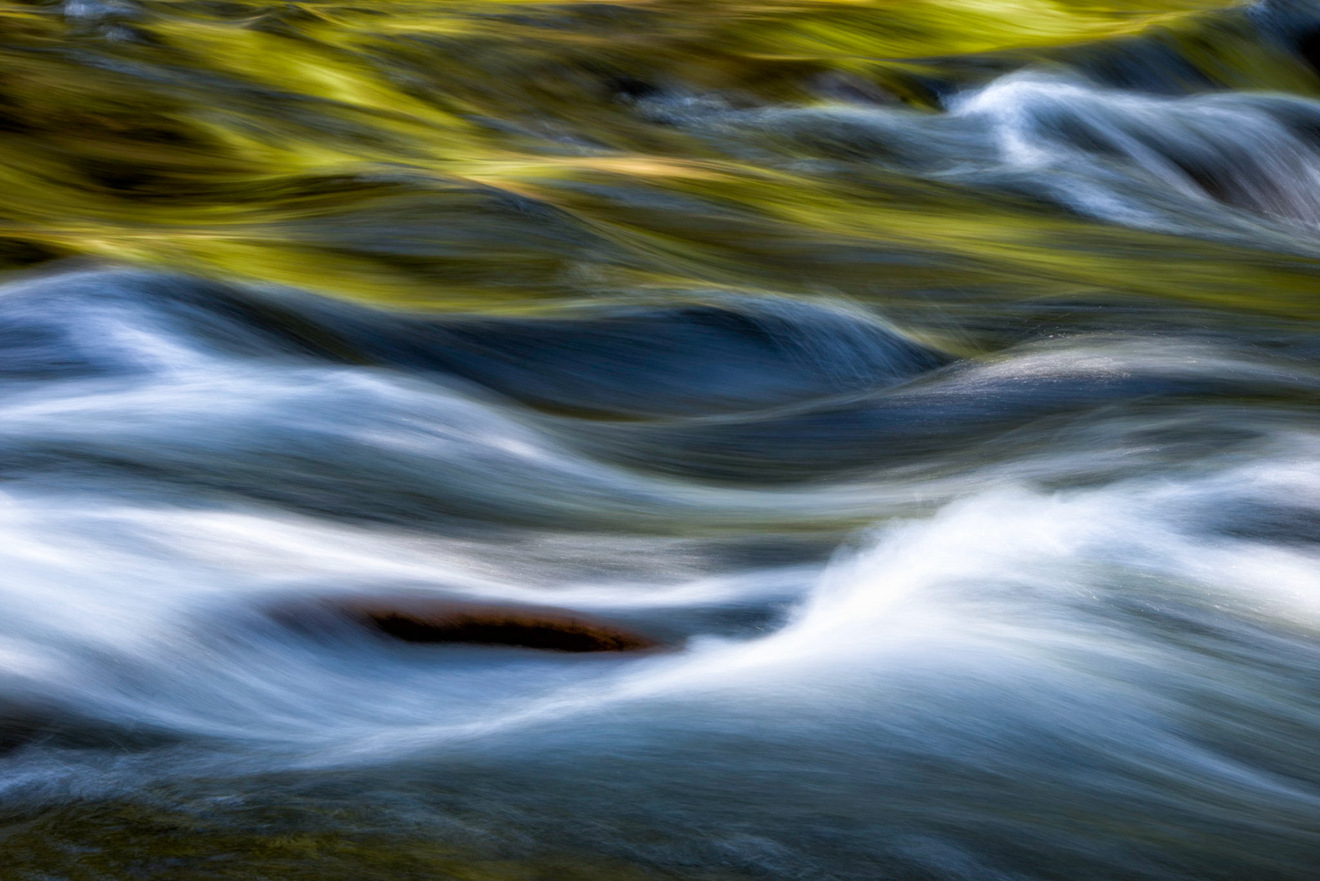 Merced River Reflections