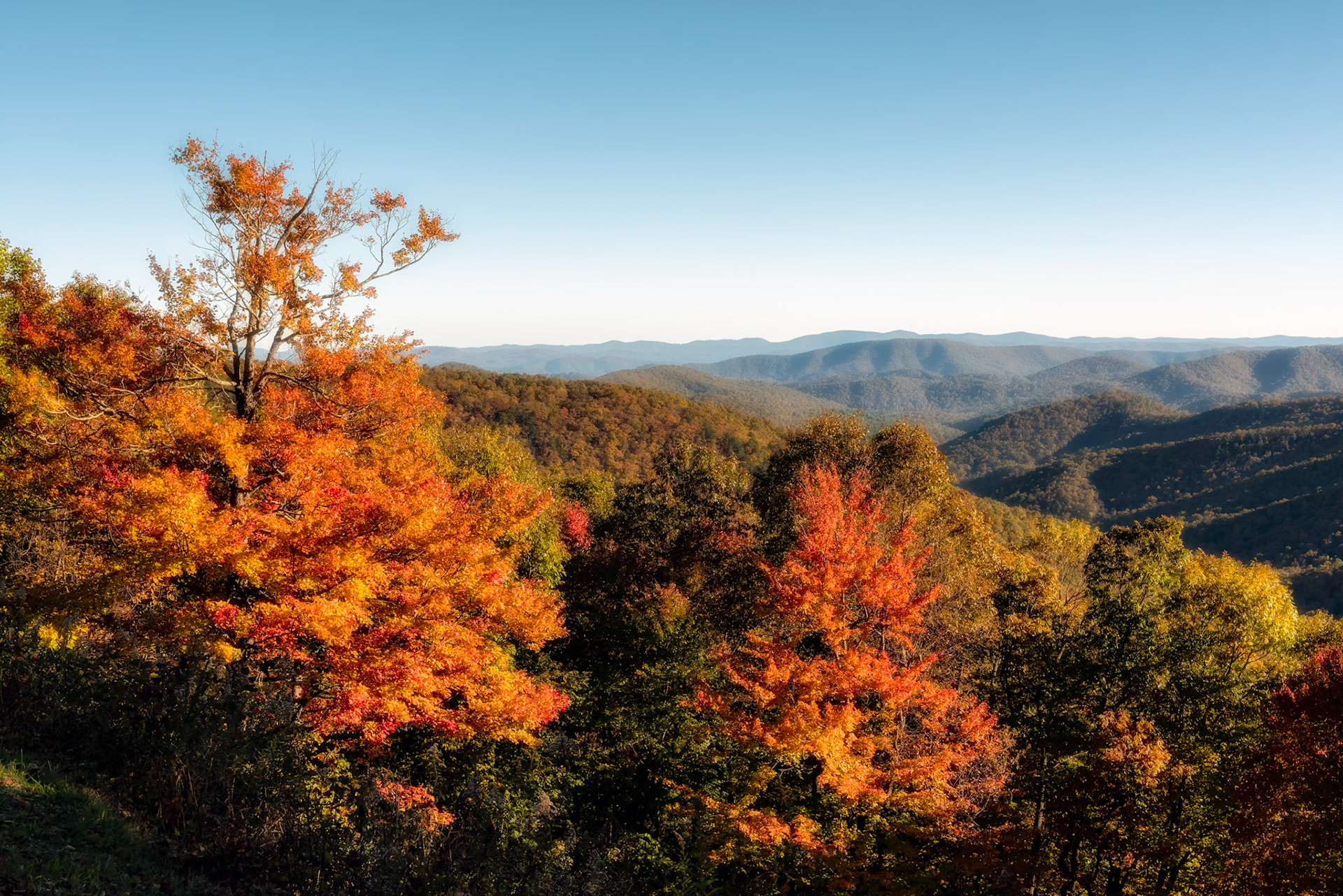 Fall Color along the Blue Ridge Parkway