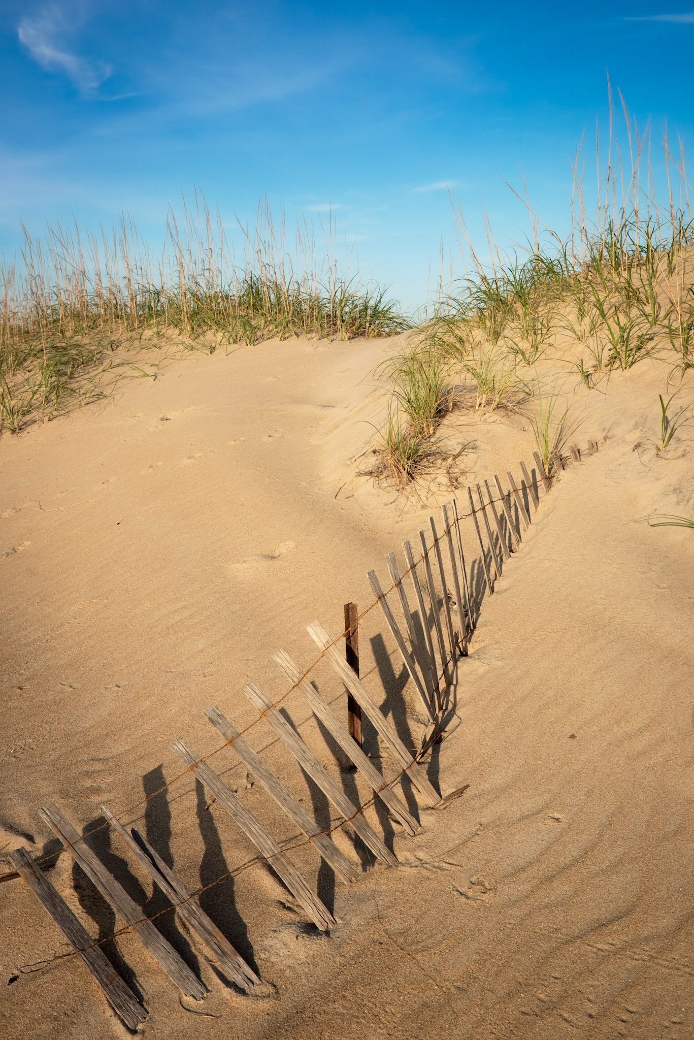 Outer Banks Dunes