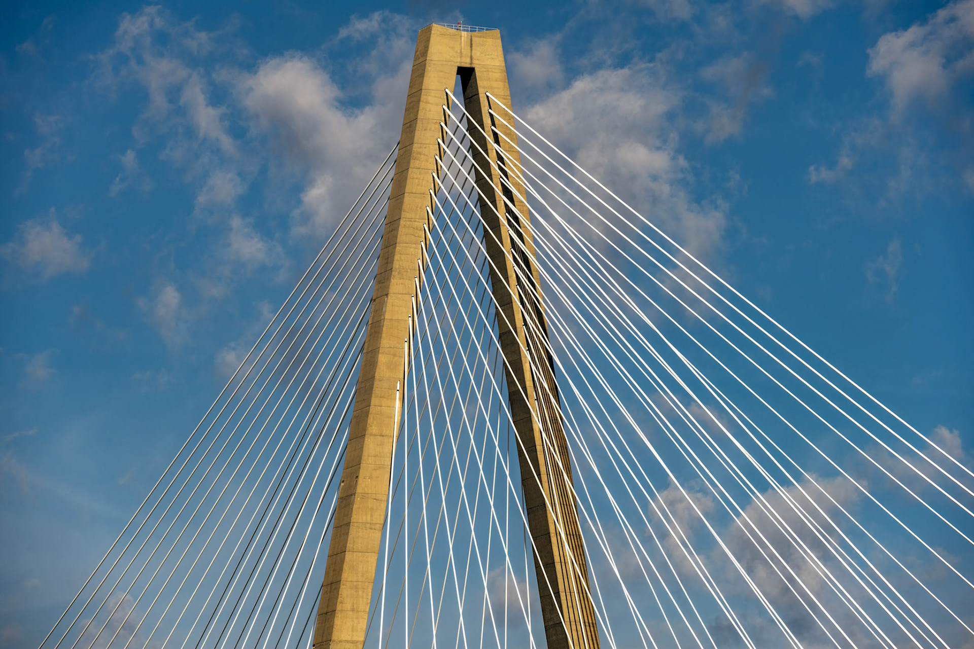 Arthur Ravenel Bridge