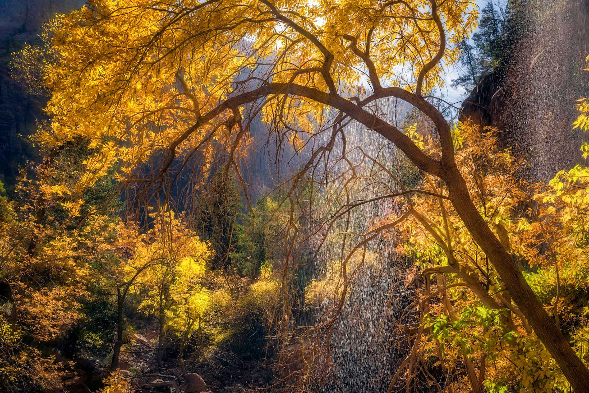 Vew from behind Emerald Pool Falls