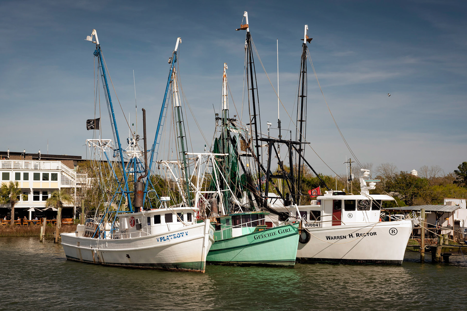 Charleston Shrimp Boats