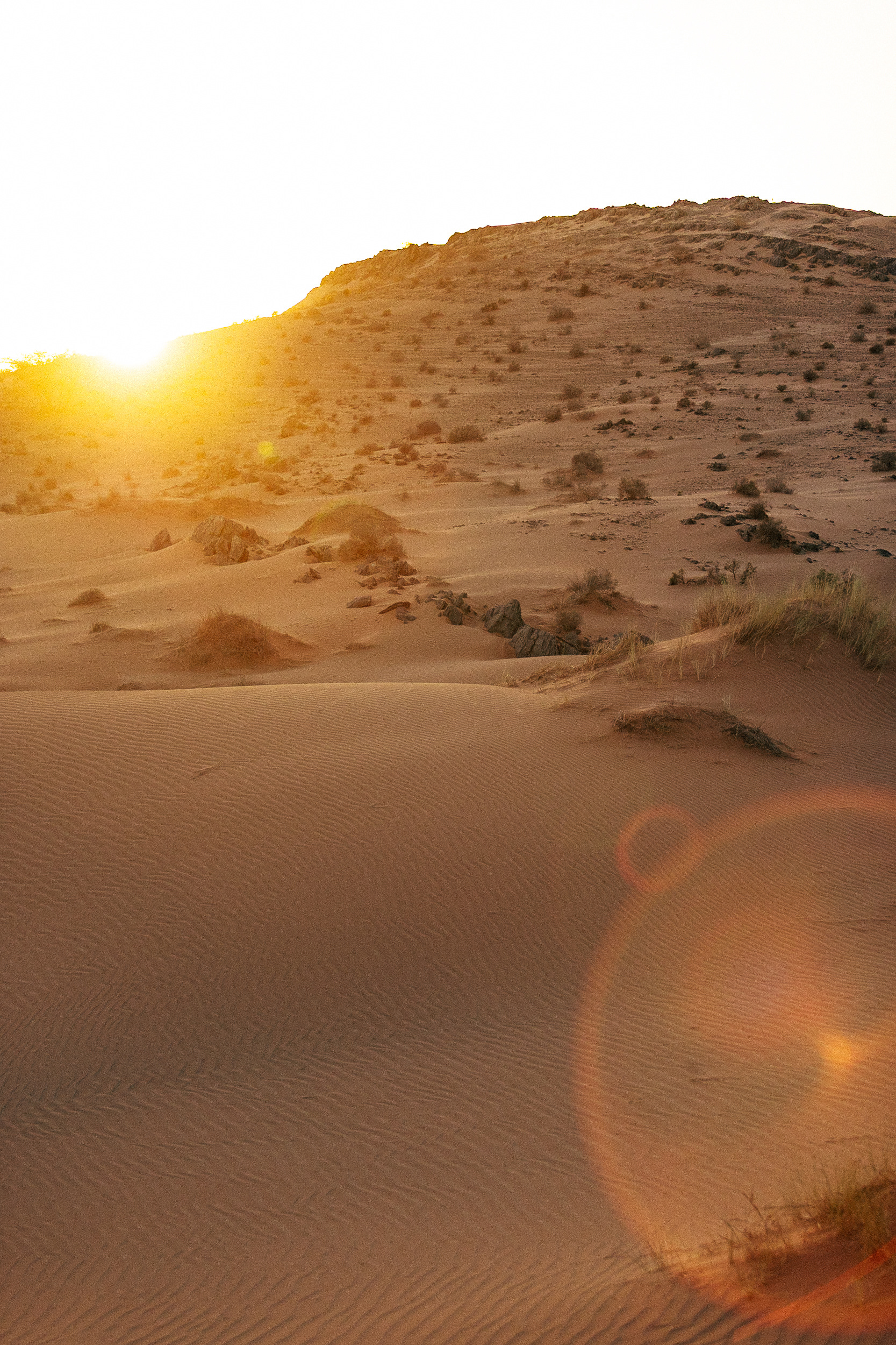 Sahara, Maroc - 2022