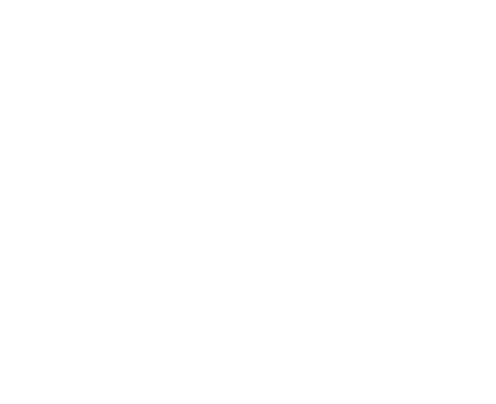 White Version of the Logo