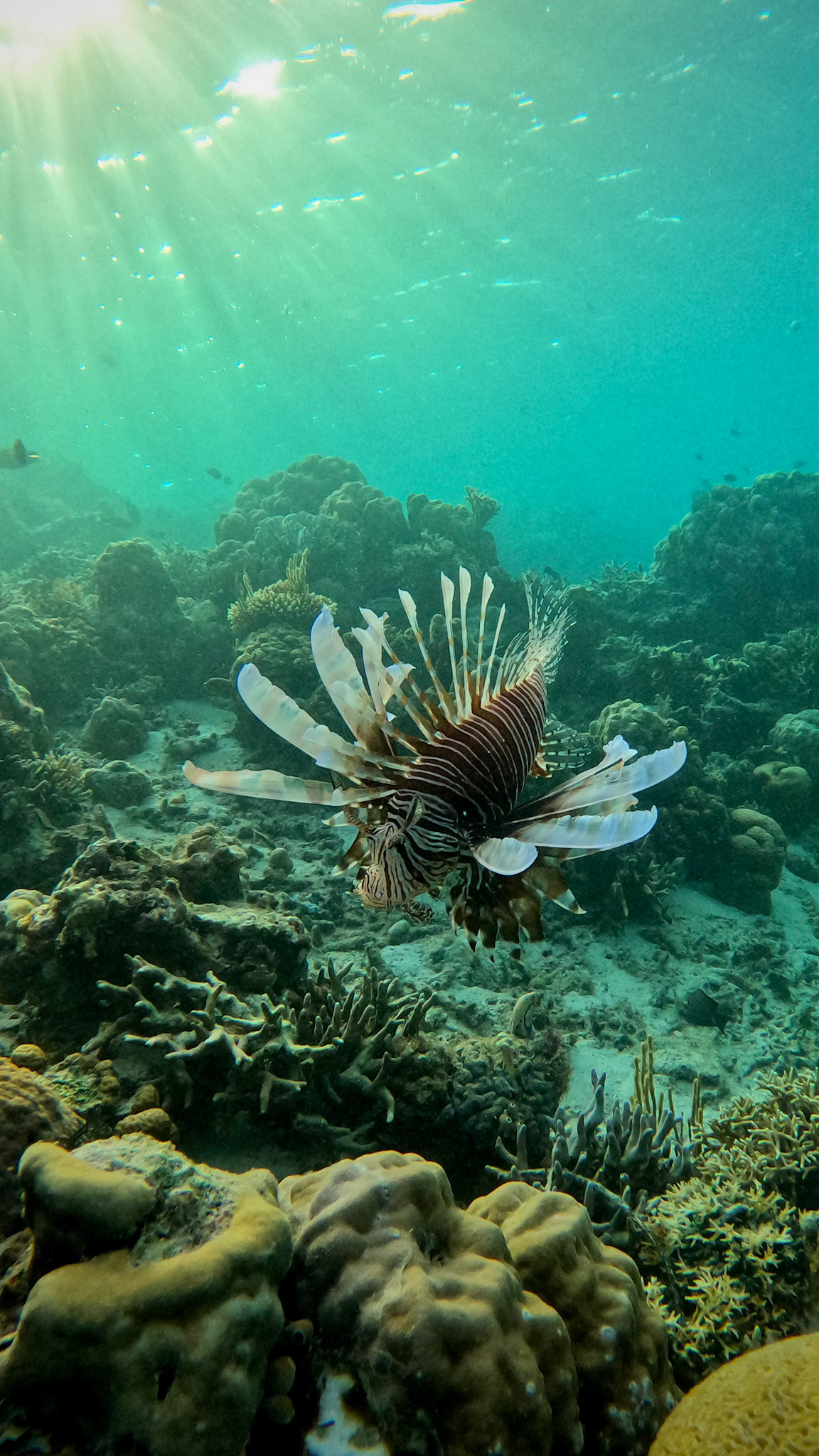 DCIM\100GOPRO\GOPR9082.JPG