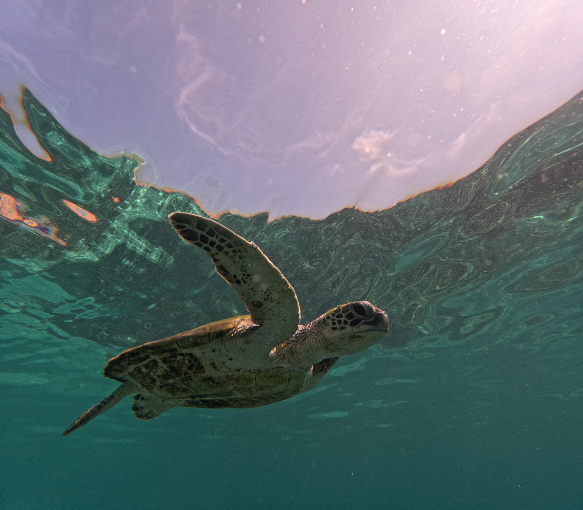 DCIM\100GOPRO\GOPR1043.JPG