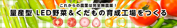無農薬野菜はどこでも作れる！