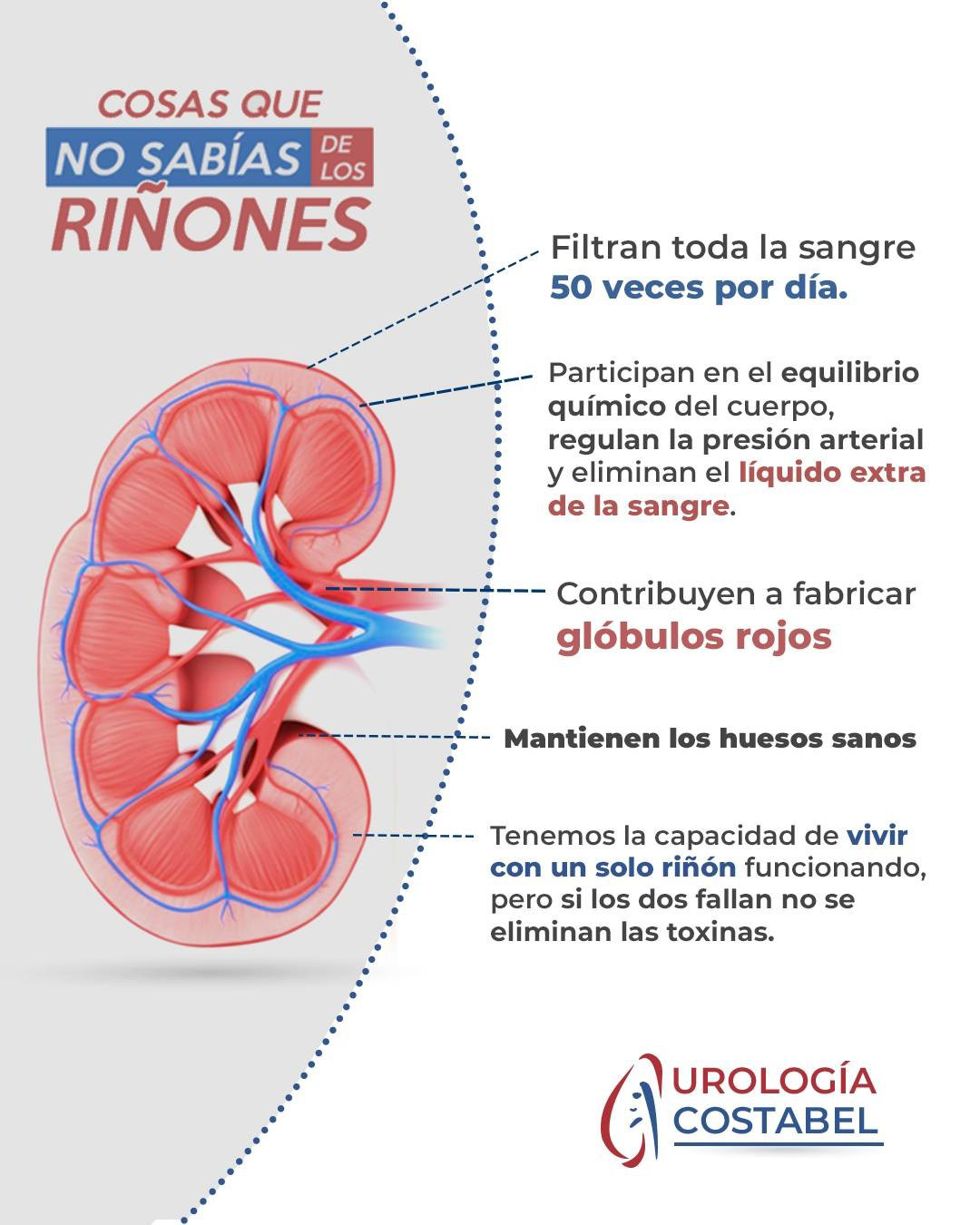Urología Costabel — image 12