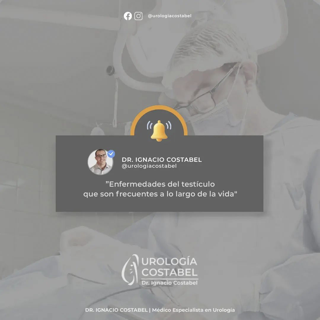 Urología Costabel — image 7