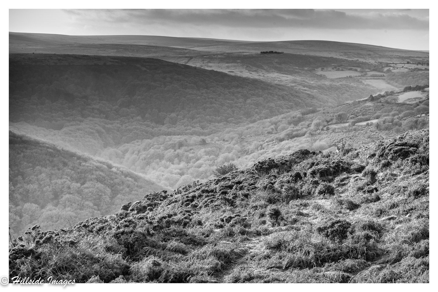 Double Dart Valley and Combestone Tor
