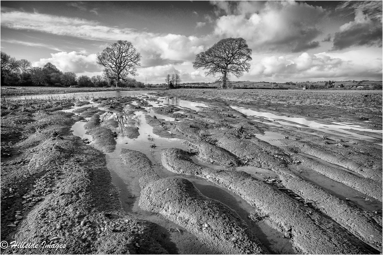 Newton St Cyres