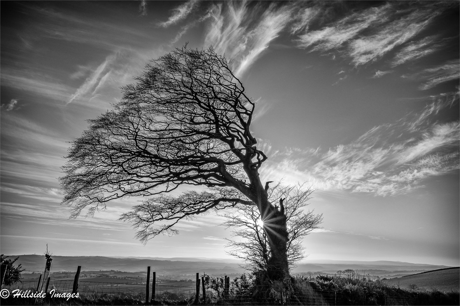 Raddon Hills