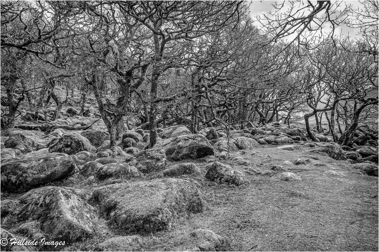 Blacka Tor Beare