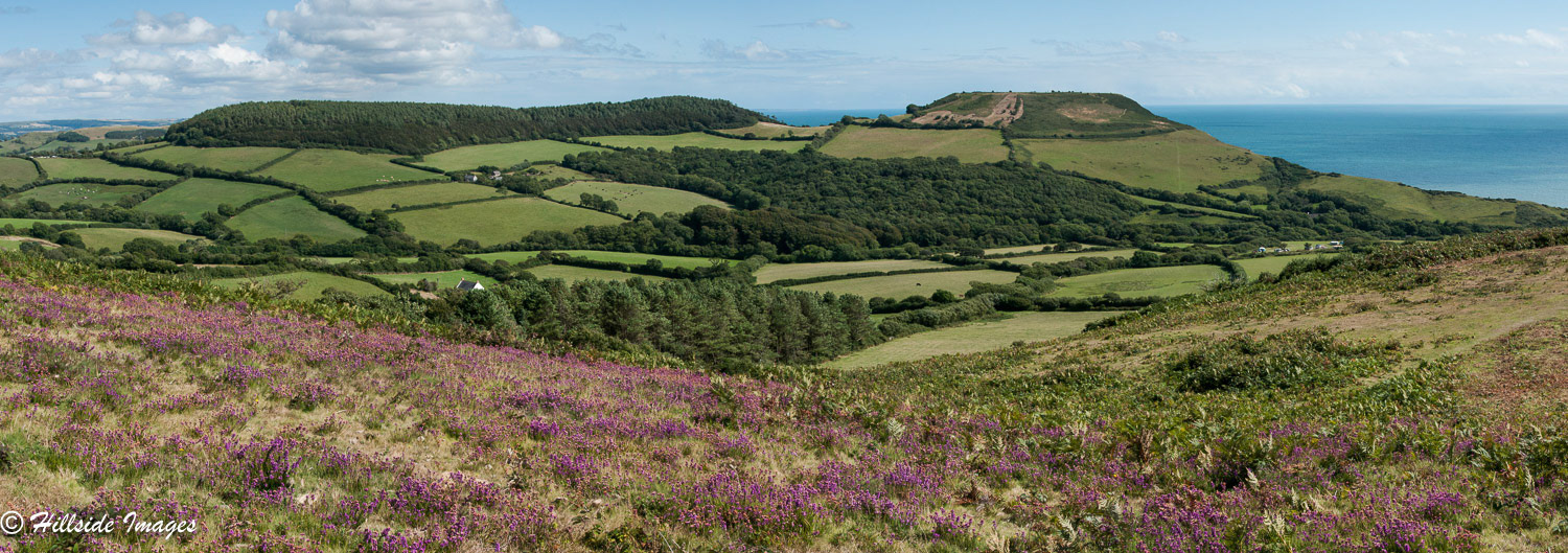 Golden Cap Dorset