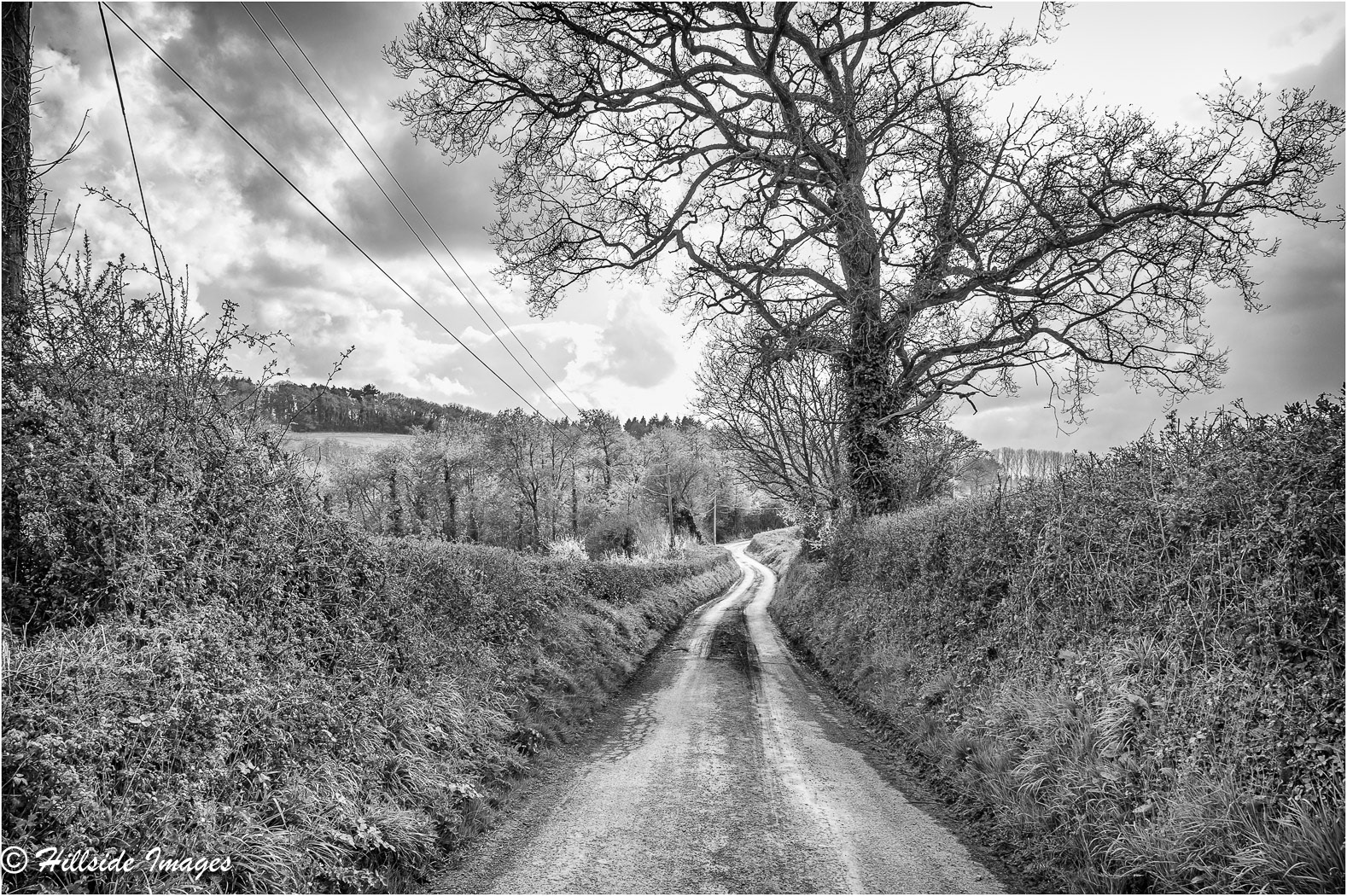Newton St Cyres