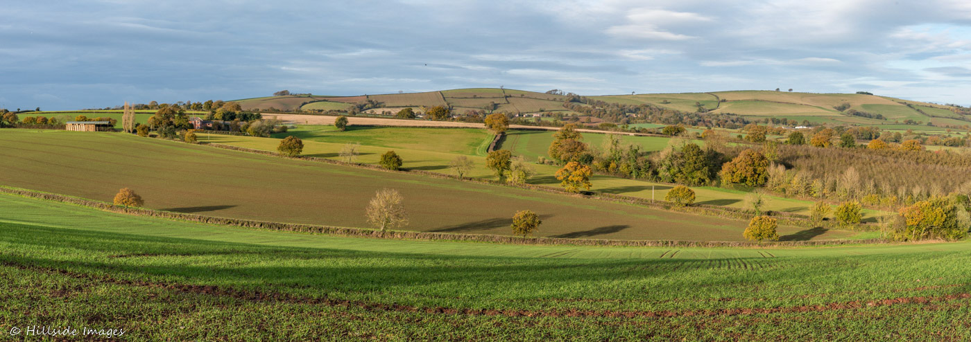 Newton St Cyres
