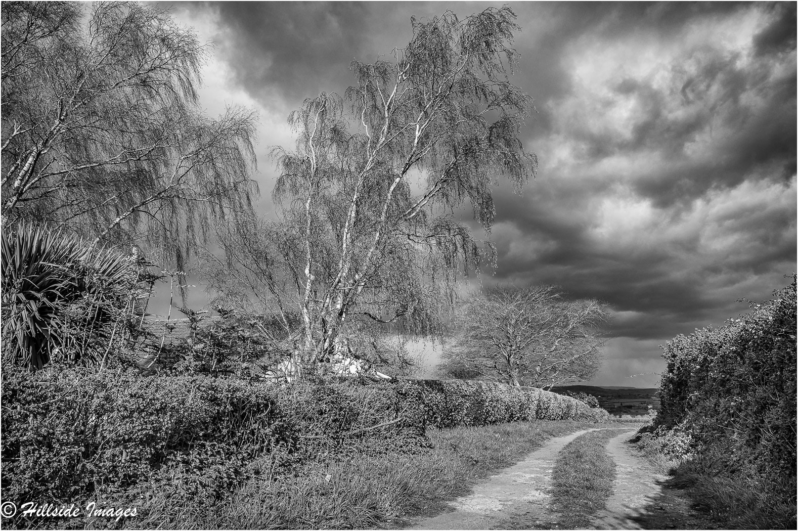Newton St Cyres