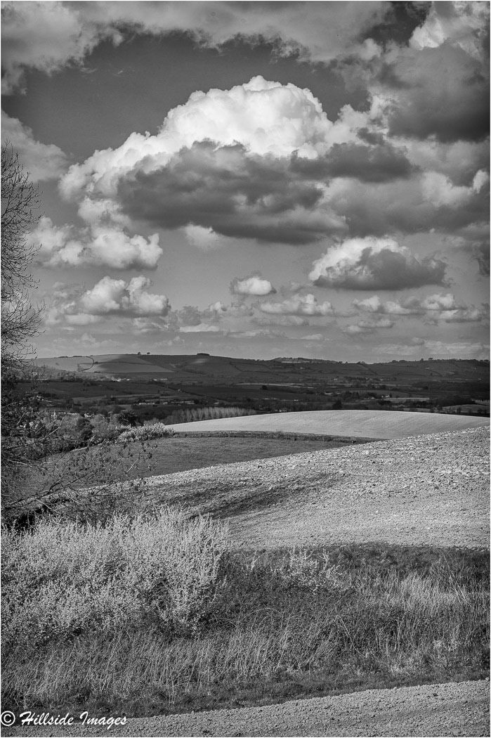 Newton St Cyres
