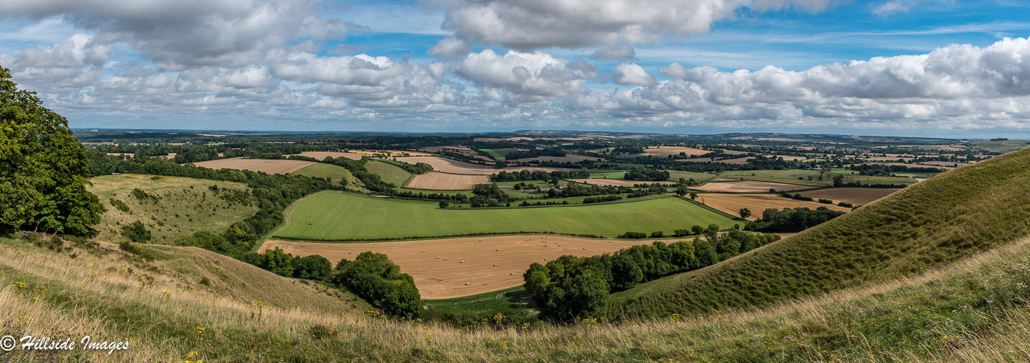 Martinsell Hill Vale of Pewsey