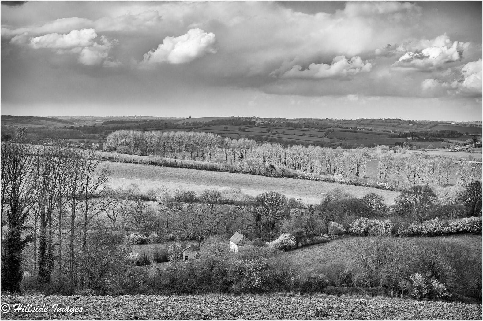 Newton St Cyres