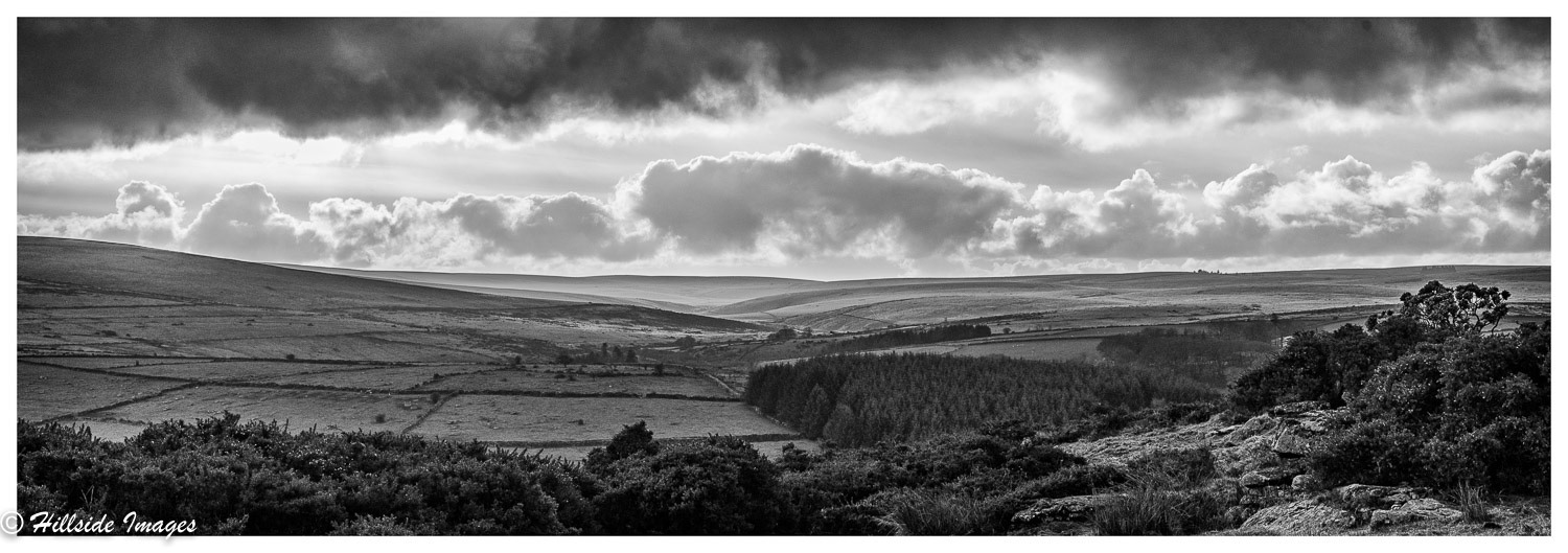 Towards Swincombe