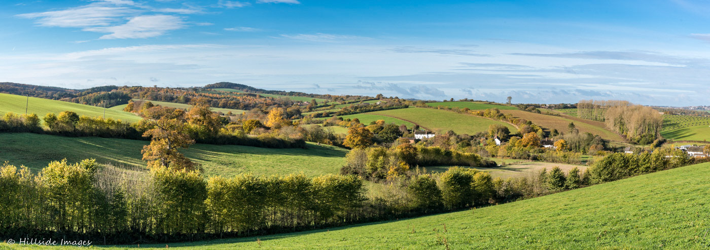 Newton St Cyres