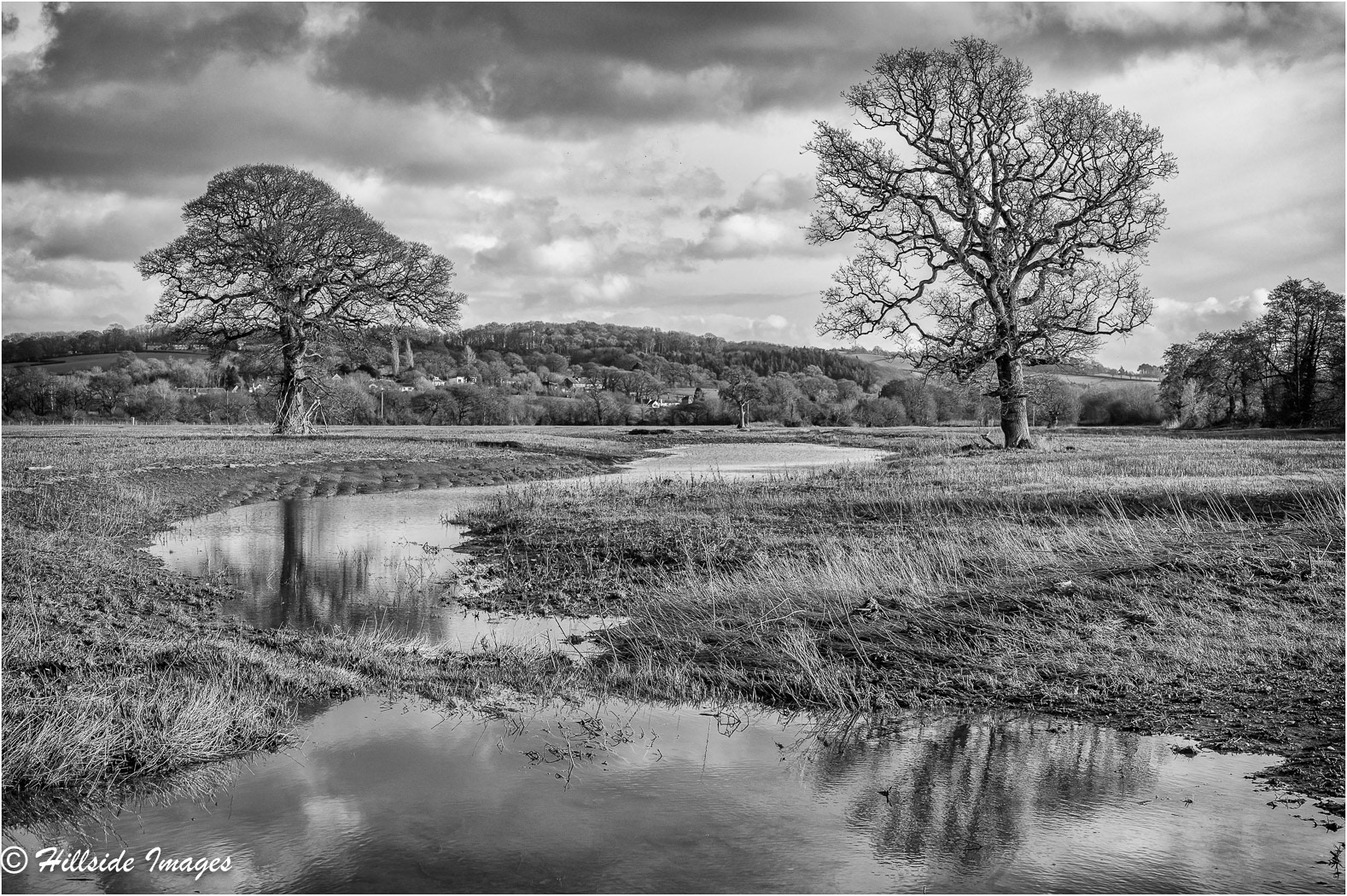 Newton St Cyres