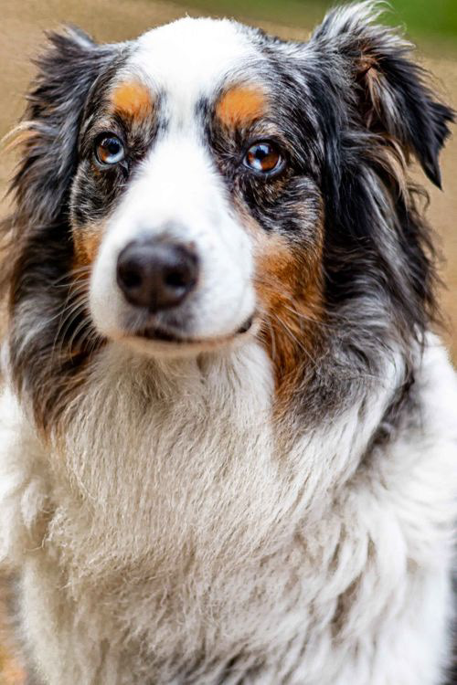 Charlie