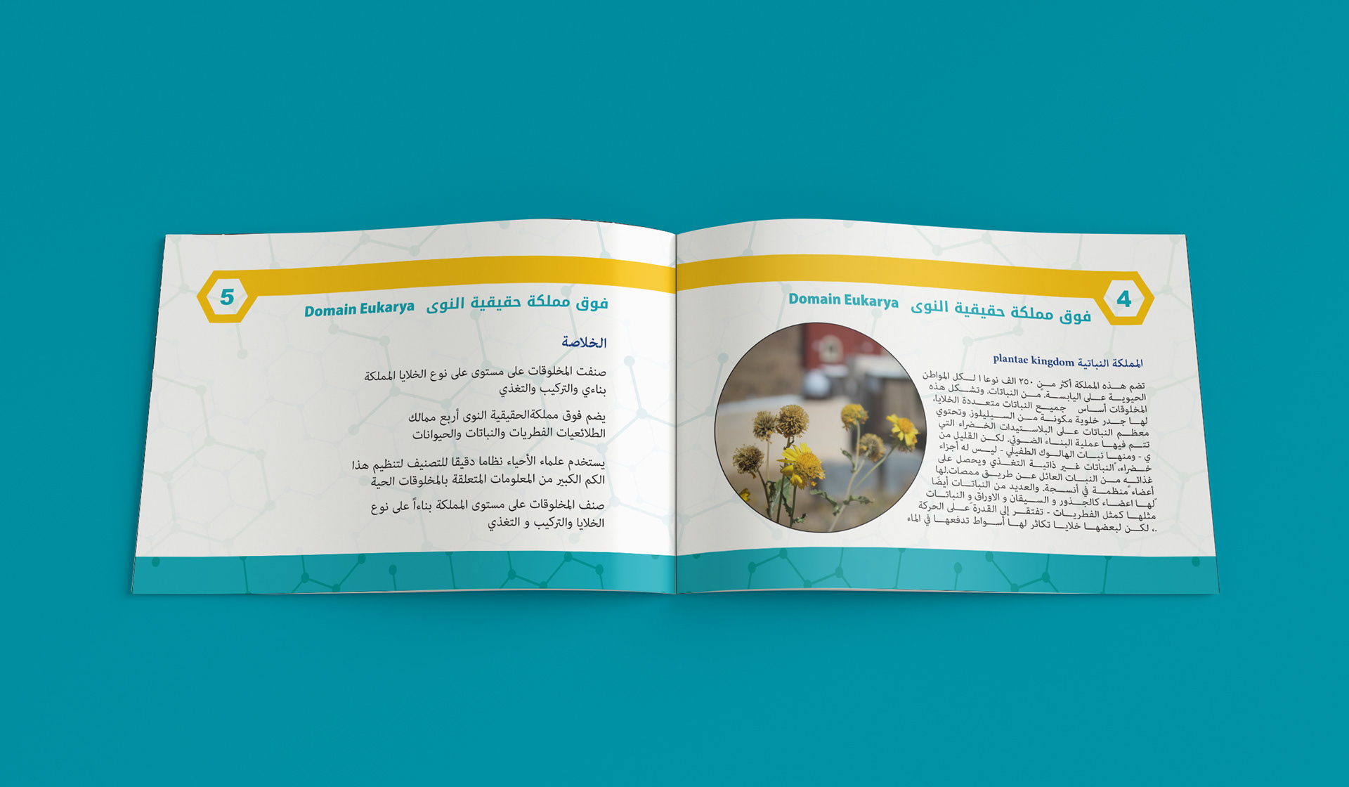 Book Pages