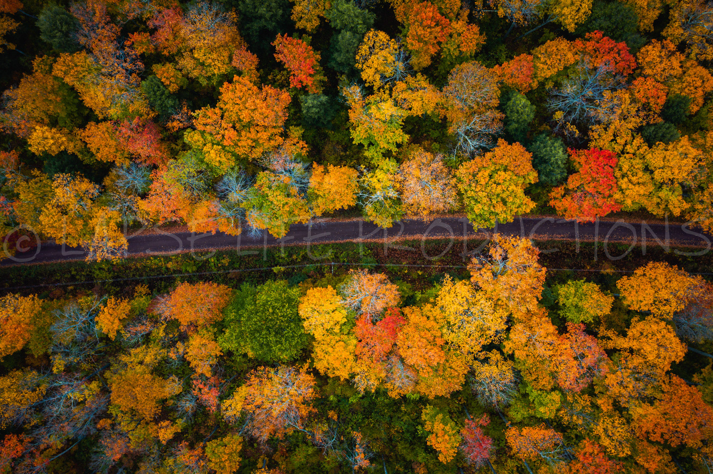 Autumn Road Aerial