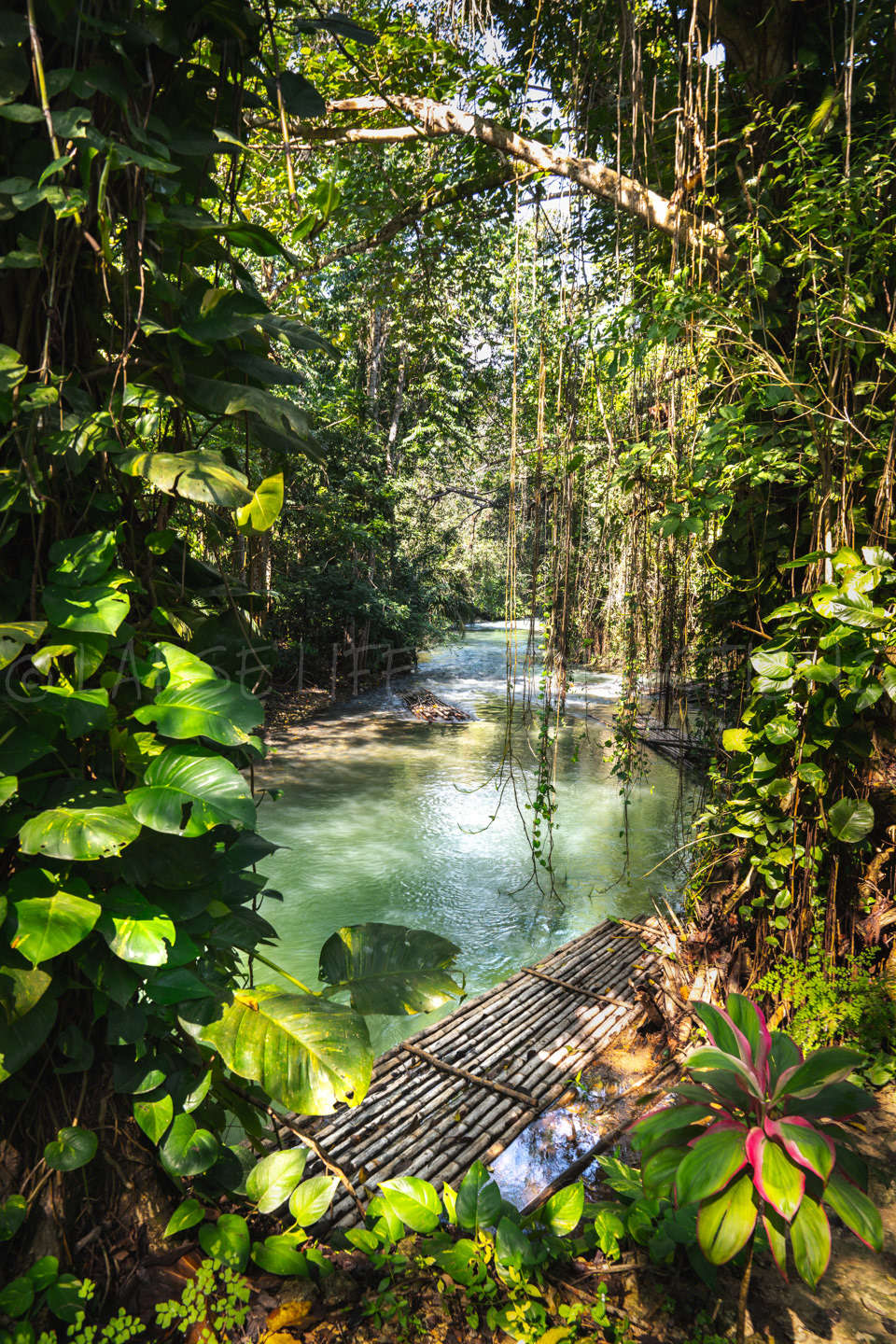 Jamaican River