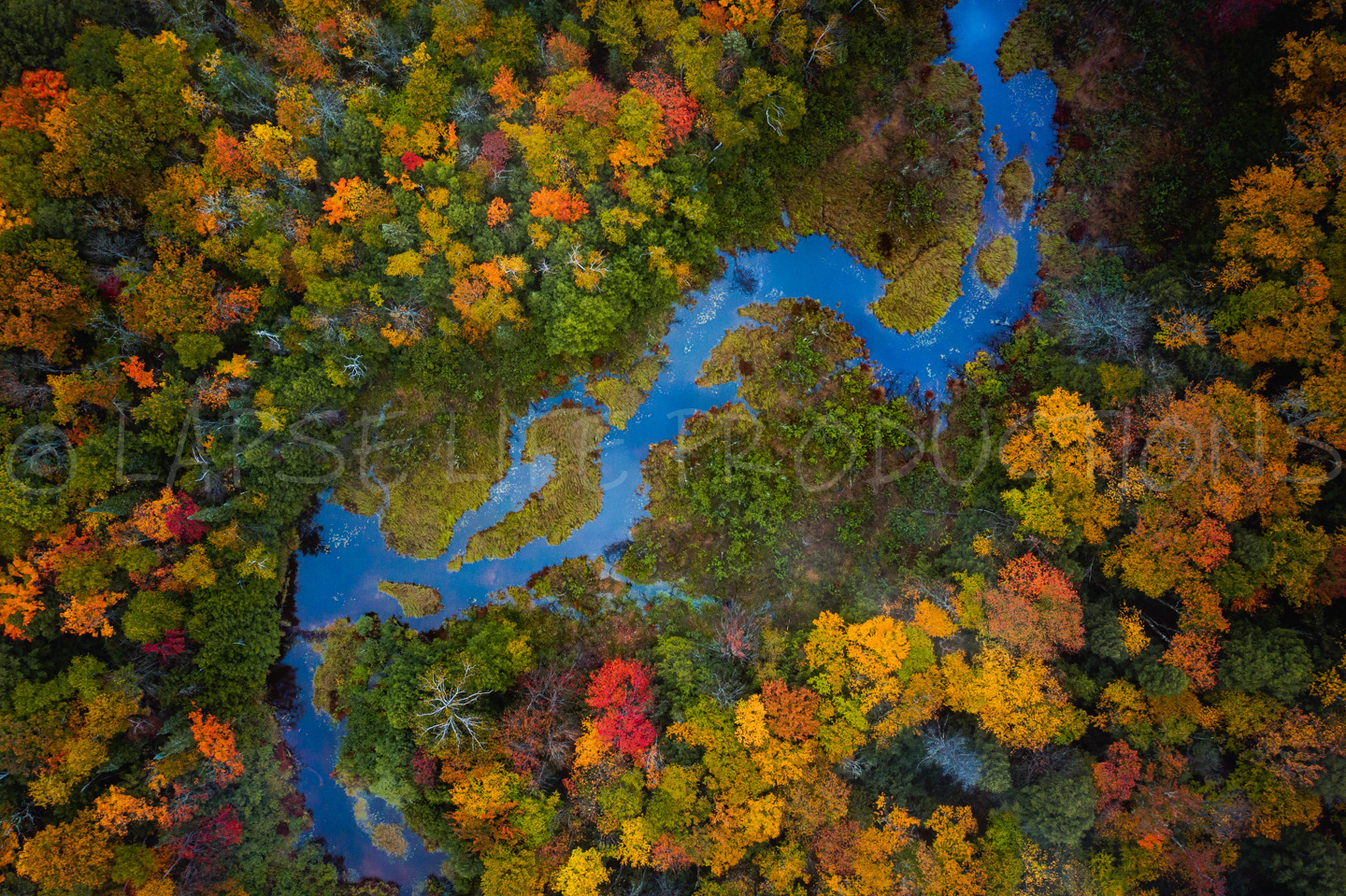 Carp River Autumn Aerial